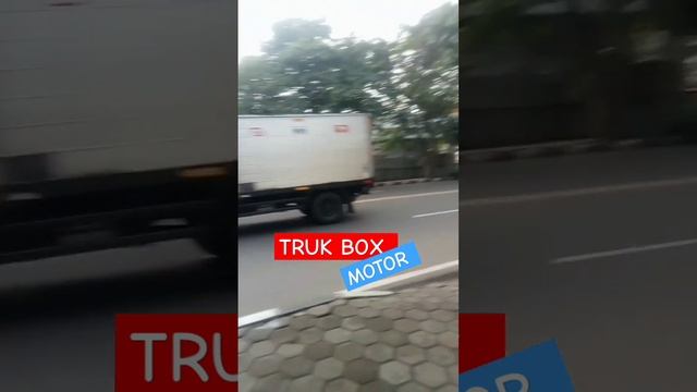 DETIK DETIK TRUK BOX TOYOTA DYNA DISELIP PEMOTOR MASSE!