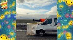 Подборка позитивных видео приколов из интернета | # 4