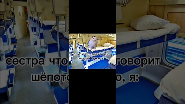 Обычная поезда в Питер