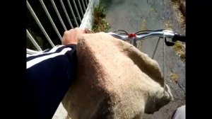 Сдал пищевой алюминий  // Заработал много денег