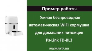 Пример сработок умной кормушки для домашних питомцев