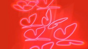 playboi carti ~ magnolia (slowed + reverb)