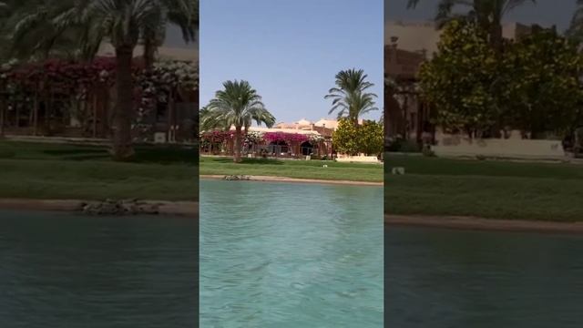 Egypt. Red Sea. El Gouna. Египет. Египетская Венеция - город Эль - Гуна.