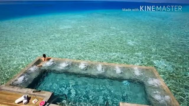 Самые красивые бассейны смотреть онлайн