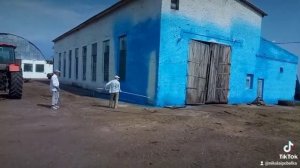 побелка животноводческих ферм