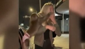 Смешные животные #1