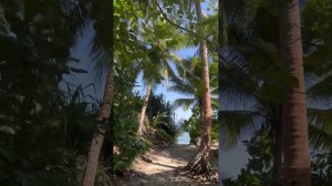 Какая погода на Мальдивах в не сезон? Солнечная! Остров Фуладу Fulhadhoo