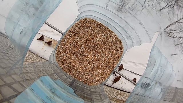 ☯️ Как сделать кормушку для птиц своими руками смотреть онлайн