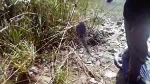 Рыбалка  Кагальник/ Рыбалка на реке Кагальник/