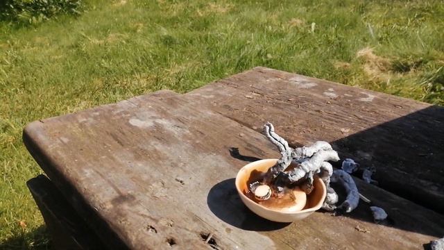 Эксперимент фараонова змея. Химический опыт.