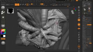 ZBrush to Photoshop Timelapse - 'Alien' Concept