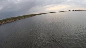 Ловля щуки на Tsuribito Dead Minnow