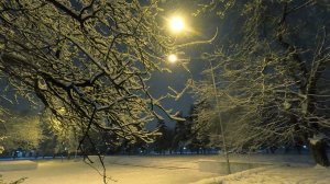 Sounds of a Blizzard and Falling Snow for Sleep and Relaxation