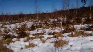 Где и как искать рога. Часть первая.