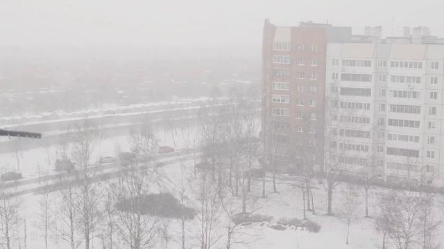 Снежный Февральский День | 2023  Год |