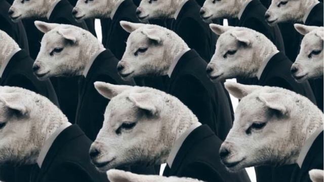 Личностный рост/ обратная сторона смотреть онлайн