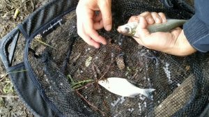 Летняя рыбалка в Аксаково