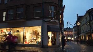 Tanuko's Vlog. A day before Christmas in Stokholm.