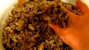 Опята маринованные