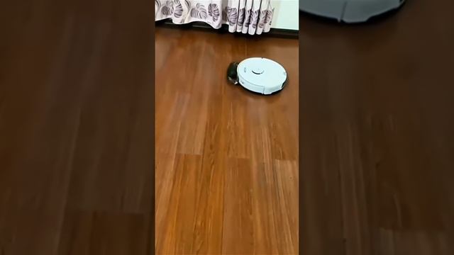 Кота засосал робот