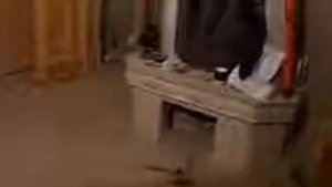 Андрей Курышев: Гидравлические, теплые полы