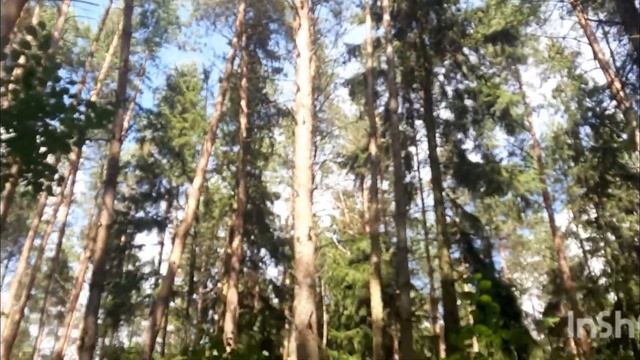 коп монет с гарретт ат макс смотреть онлайн