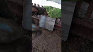 Крылья самодельный минитрактор