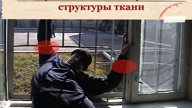 Кража. Механизм преступления и следообразования смотреть онлайн