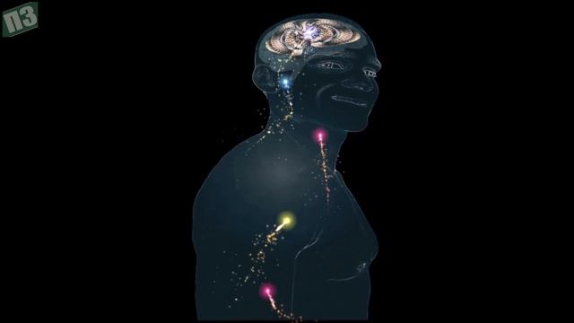 Вот что произойдет с организмом, если начать есть Шпинат. Невероятная польза Шпината