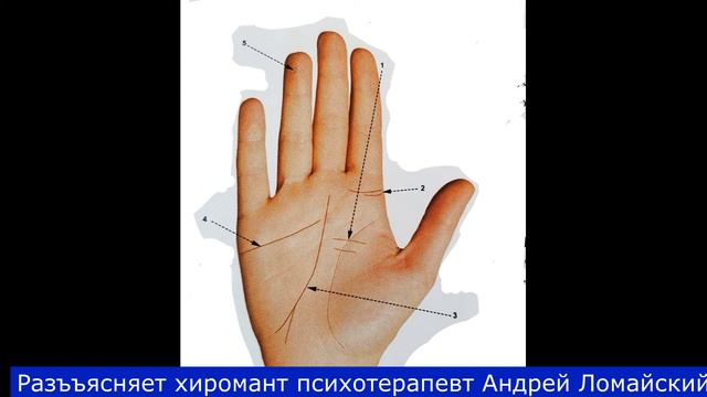 Хиромантия. Разъяснения и иллюстрации. Хиромант Андрей Ломайский.Линия судьбы - начало на бугре лун