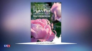 Domaine de Chantilly/Journées des Plantes