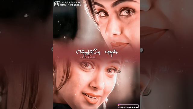 🧡💕மழையில் நனையும் பனிமலரை போலே💕🧡Minnal Oru Kodi Enthan Uyir Thedi Vanthathe HD Whatsapp Status💕🧡