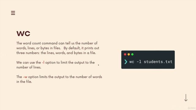 10 Working With Files смотреть онлайн