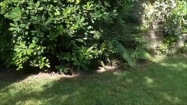 Tello Bit Rate Benchmark смотреть онлайн