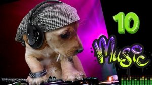 MEGA SUPER Top 10 Most Popular Songs