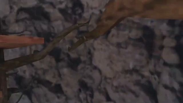 How to Get LONG ARMS in gorilla tag ⚠️ NEW METHOD ⚠️ смотреть онлайн