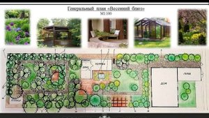 Дизайн вытянутого участка с соснами