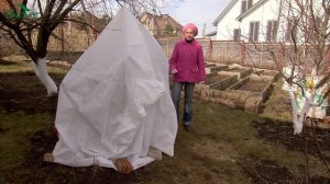 Весенняя уборка в саду - 7 дач