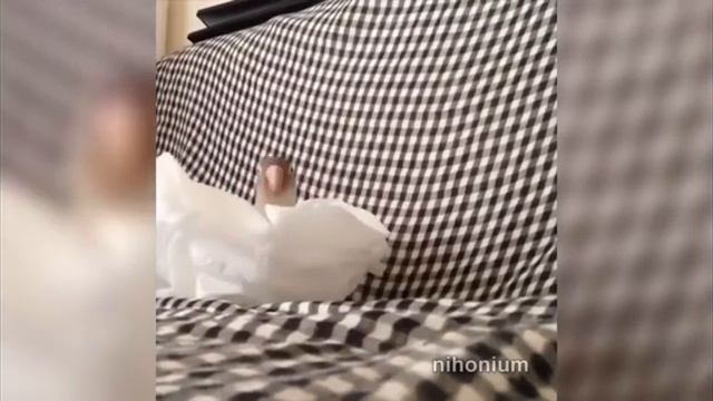 Я РЖАЛ ЦЕЛЫЙ ЧАС СМЕШНЫЕ ЖИВОТНЫЕ ТЕСТ НА ПСИХИКУ ПОПРОБУЙ НЕ ЗАСМЕЯТЬСЯ #1 смотреть онлайн