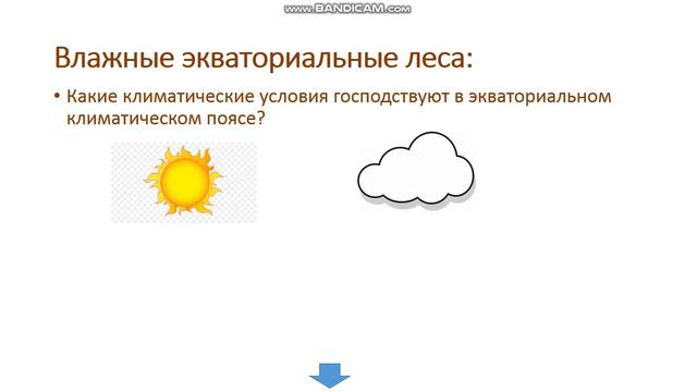Природные зоны. География-8 класс.