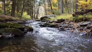 Музыка У-син Вода\Лечебная музыка для Почек