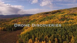 Aspen tree pull back high, Aerial, 4K, 30s, 15of34, Aspen Trees, Foliage, Mountains, Beautiful Colo