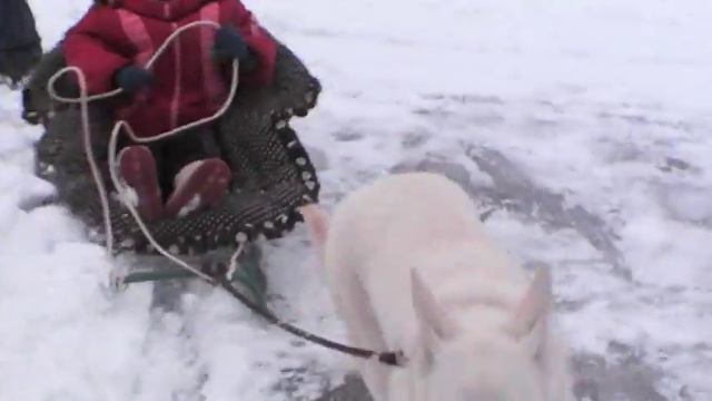 17 01 16 На санках смотреть онлайн