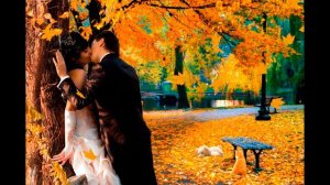 Оленька (дворовая)