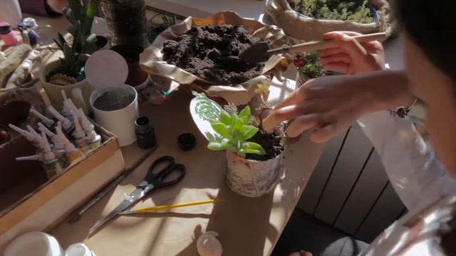 Мастер-классы в Анапе смотреть онлайн