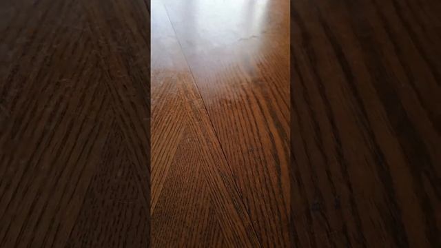 97с.Мамулечка дома.Утро бывает приятным. С Праздником весны!!! 08.03.2023 г. смотреть онлайн