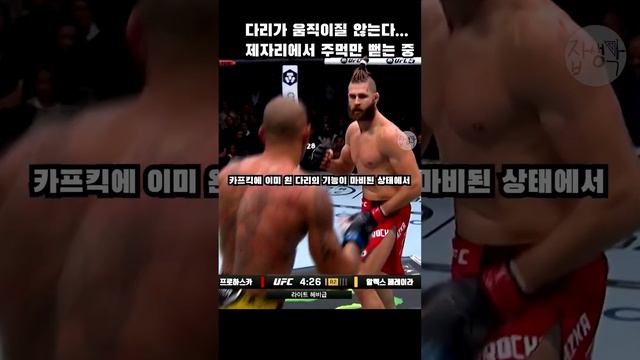 페레이라 VS 프로하스카 경기 리뷰 / 인자강도 카프킥 앞에서는 장사 없다...