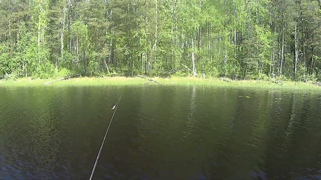 Рыбалка в Карелии.  Ловля окуня на ламбе. #капитанандрейфёдоров
