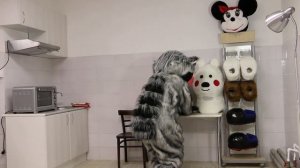 Ростовая кукла Енот для контактного зоопарка | Обзоры готовых ростовых кукол