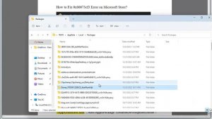 Fix Microsoft Store Error 0x80073cf3